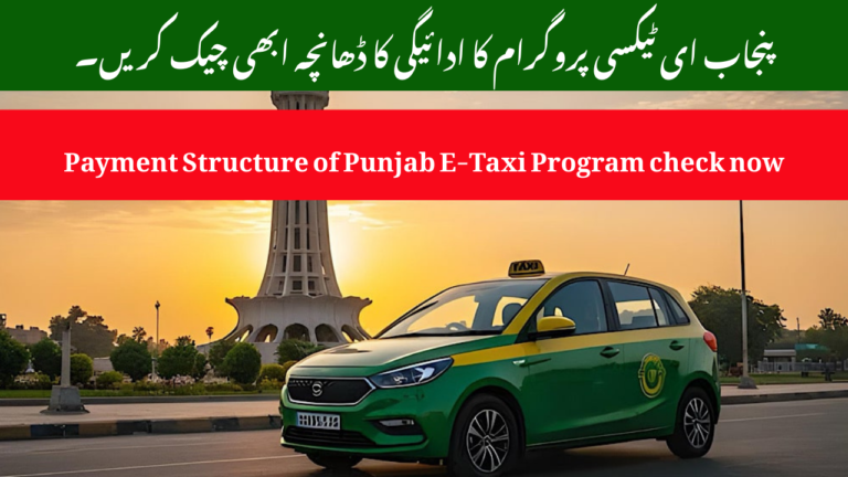Payment Plan of Punjab E-Taxi Scheme